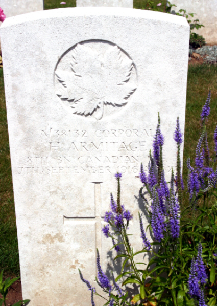 File:CVWM 676437.jpg
