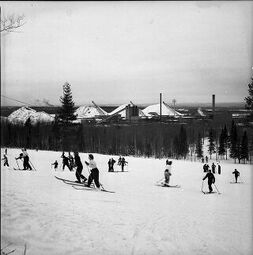 Skiers head uphill, 1939