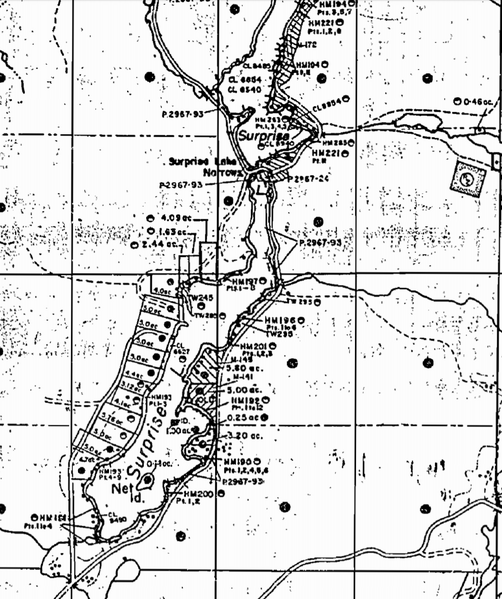 File:SurpriseLake1955.PNG
