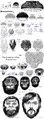 Thumbnail for version as of 11:42, 27 February 2026